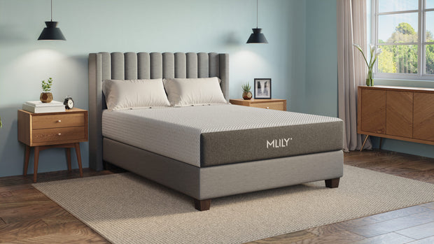 Fusion Orthopedic Mattress By MLily