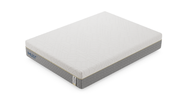 WellFlex 2.0 Mattress By MLily